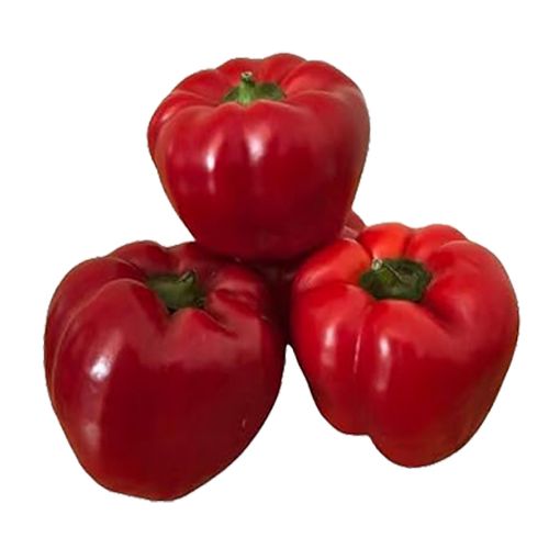 Picture of Trad Red Sweet Pepper Kg