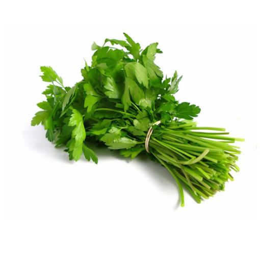 Picture of W.I.L Coriander 100g